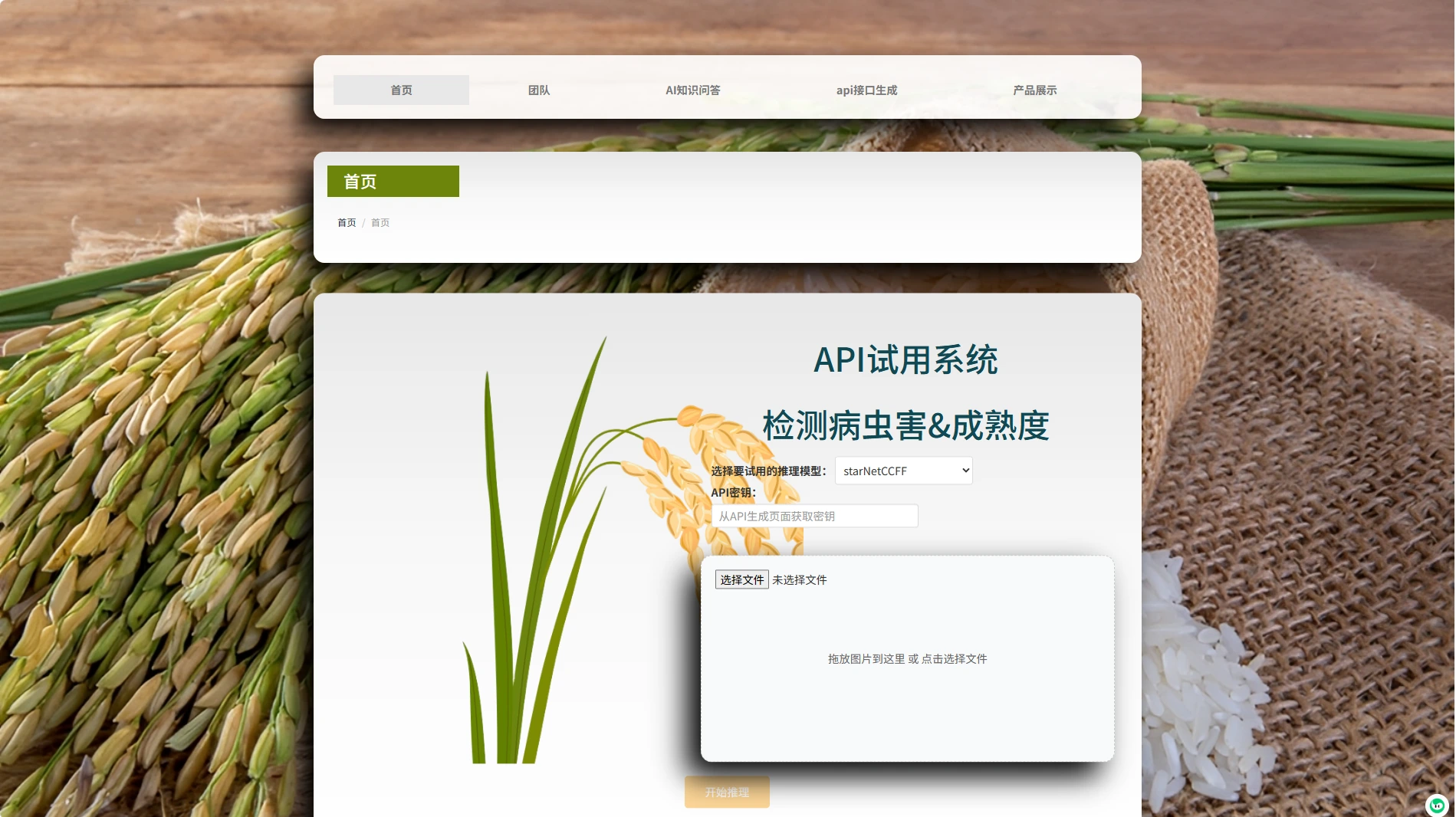 基于跨结构蒸馏的水稻叶部病害轻量识别模型