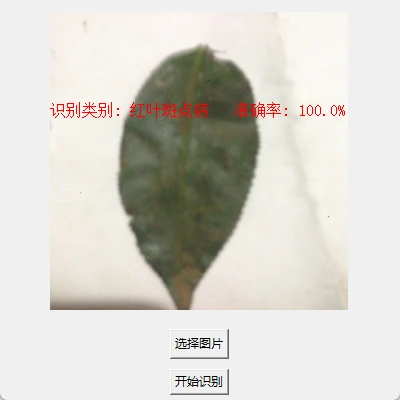 茶叶病害视觉识别与边缘端部署